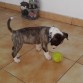 Sopresa con un mes y 20 diass jugando con la pelota jejeje